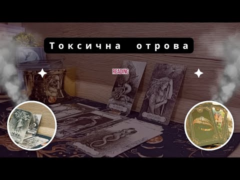 Видео: Някой не ви✍️ търси?Токсична отрова☣️