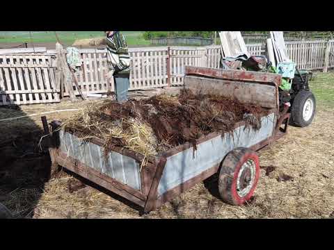 Видео: Вывоз навоза мотоблоком весной 21-го года