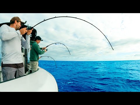 Видео: ЛУЧШИЙ МЕДЛЕННЫЙ ДЖИГГИНГ, КОТОРЫЙ Я КОГДА-ЛИБО ВИДЕЛ