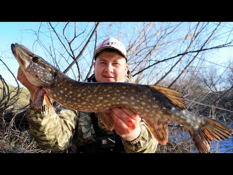 Видео: ЛОВЛЯ ЩУКИ ВЕСНОЙ В АПРЕЛЕ НА ВОБЛЕРЫ MINNOW!!! DUO SPEARHEAD RYUKI 45S #Спиннинг #Щука #Рыбалка