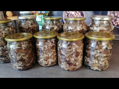 Видео: Маринованные опята на зиму😉
