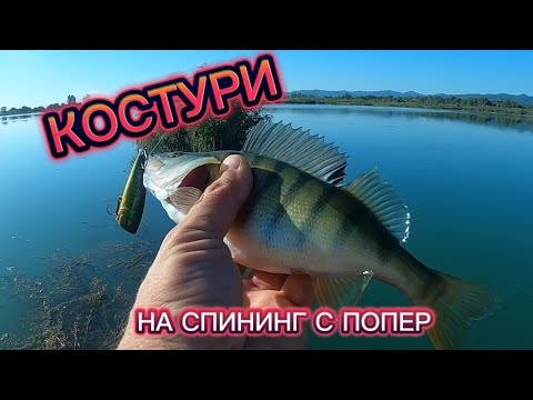 Видео: Сеч на костури на софийска баластриера