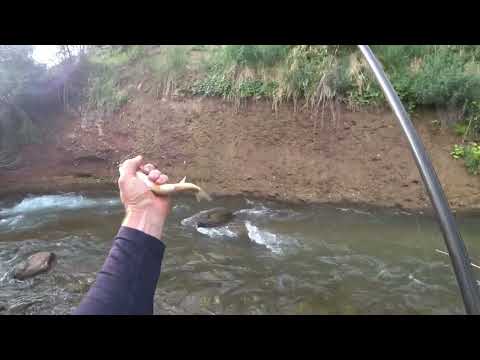 Видео: ловля маринки на старых местах