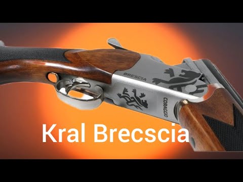 Видео: Kral Brescia Coraggio( Крал Брешиа) турецкое ружье. Обзор. Плюсы и минусы.