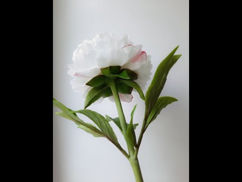 Видео: Пион. Часть 4. Сборка ветки. Холодный фарфор.