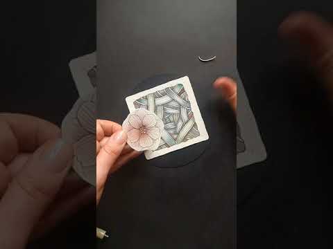 Видео: Полоски и цветок