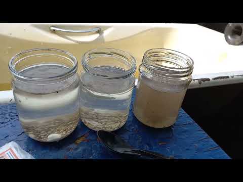 Видео: 3-я подкормка голубики 19 мая