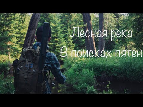 Видео: Спиннинг на лесной реке. Форель Ленинградской области .