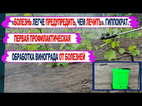 Видео: 🍇 Чтобы виноград был ЗДОРОВЫМ! Первая ОБРАБОТКА от БОЛЕЗНЕЙ  Профилактика лучше, чем лечение.