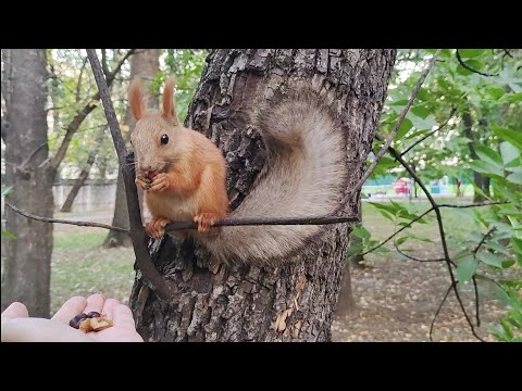 Видео: Наелась от пуза и просила добавки.