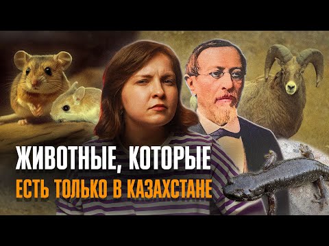 Видео: Какие животные есть только в Казахстане? Эндемики