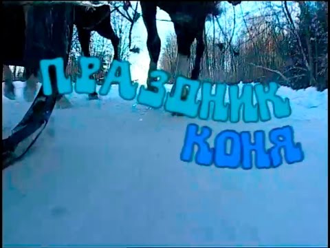 Видео: Играй, гармонь! | Праздник коня