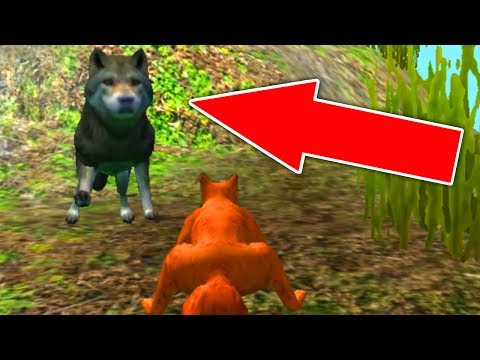 Видео: СИМУЛЯТОР БЕЛКИ #1 ОХОТИТСЯ ВОЛК сделали ДУПЛО в Squirrel Simulator
