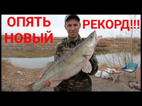Видео: Нура. Рыбалка на налима. Ещё один рекорд!