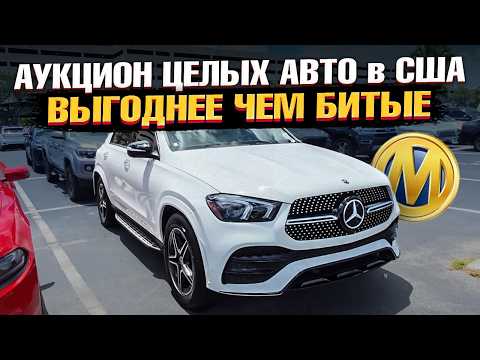 Видео: 🇺🇸БЕЗ ДТП - ЕЩË ДЕШЕВЛЕ! ЦЕЛЫЕ Авто из США в 2025 - АУКЦИОН Manheim в Майами - Обзор лотов с ЦЕНАМИ🔥