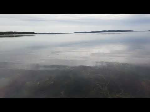 Видео: Сахалин. Озеро Тунайча.