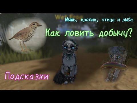 Видео: КАК ЛОВИТЬ ДОБЫЧУ В WC:UE?? (☆▽☆)