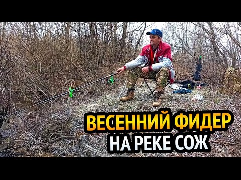 Видео: РЕКА ПРОСЫПАЕТСЯ!!! ВЕСЕННИЙ ФИДЕР НА РЕКЕ СОЖ!!!