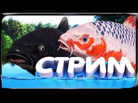 Видео: РР4 СТРИМ • ФАРМ СЕРЕБРА на МЕДНОМ озере и НОРВЕЖСКОМ МОРЕ!