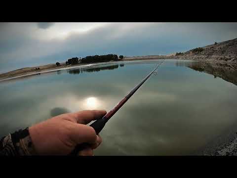 Видео: Ловили СУДАКА а поймали РАКА 2025