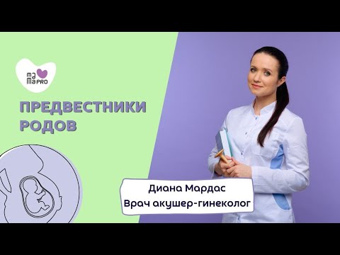 Видео: Предвестники родов