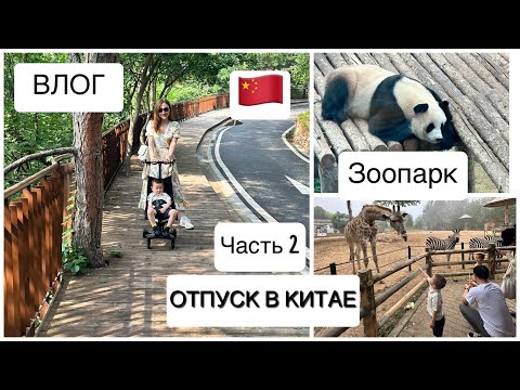 Видео: ВЛОГ: ОТПУСК В КИТАЕ 🇨🇳/ ЧАСТЬ 2/ Зоопарк 🐼/Dalian forest zoo/Кормим 🦒/Массаж ног / Street food