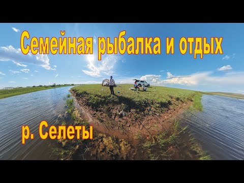 Видео: Рыбалка и отдых с семьей не далеко от города, р Селеты, не думали,  что там столько видов рыбы