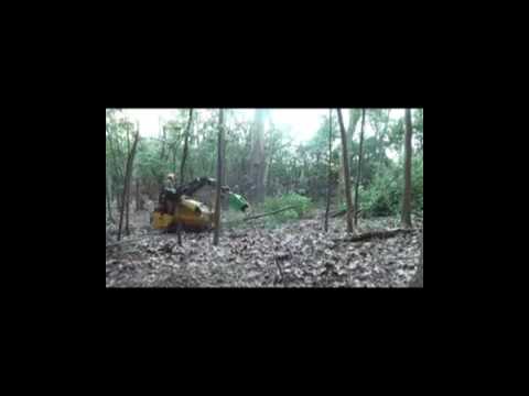 Видео: 🟢 BI200 @OMEFGROUP Лесные валочные ножницы на мини-погрузчике Vermeer CTX160