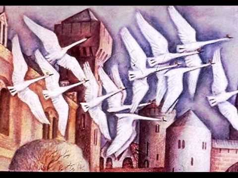 Видео: Г. Х. Андерсен "Дикие лебеди"