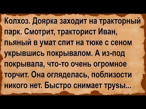 Видео: Про доярку на тракторном парке и Ивана... Сборник анекдотов!
