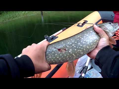 Видео: Ловля на водохранилище.  Щука и окунь КВХ