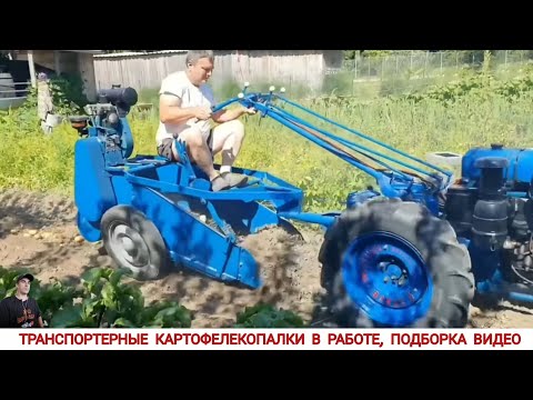 Видео: ТРАНСПОРТЕРНЫЕ КАРТОФЕЛЕКОПАЛКИ РАЗНЫХ СТРАН МИРА / HARVESTING POTATOES IN DIFFERENT COUNTRIES