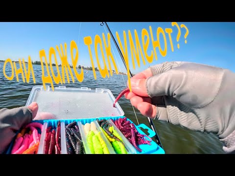 Видео: Пелагический окунь на пассивные приманки???Это что-то новенькое...#fishing #soorex