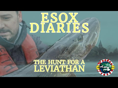 Видео: Дневники Эсокса, сезон 2, серия I | Ловля щуки | Эсокс | Ловля на приманку | Озеро Ментейт | Ловл...