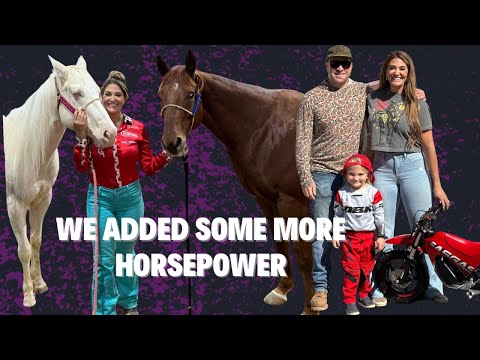 Видео: 3 ЛОШАДИ 1 ВЫХОДНЫЕ и 1 БРЕНД 😉 НОВАЯ СТРАСТЬ