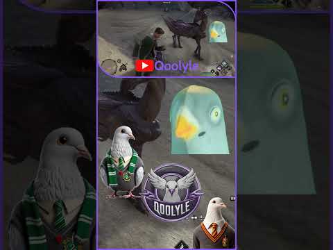 Видео: Уход за тварями #qoolyle #shorts #хогвартс #hogwarts #игры #прохождение #рек #голубь