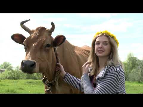 Видео: Как начать  заниматься животноводством?