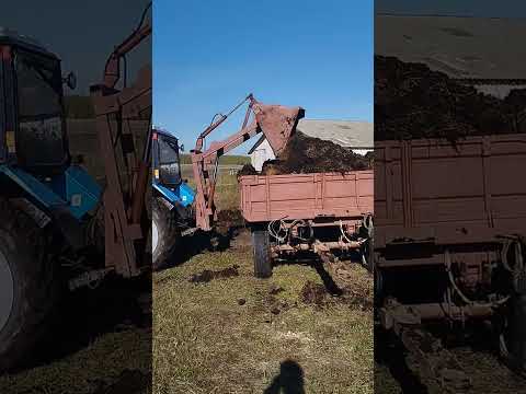 Видео: Погрузка навоза самодельным куном.