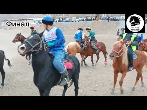 Видео: Чон-Арык-Кара-Көл 03.09.2024.