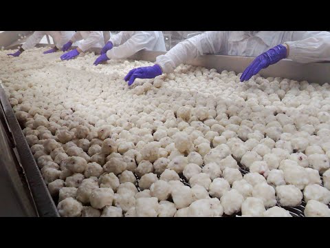 Видео: крупнейший тайваньский производитель шариков из каракатицы | Тайваньская кухня