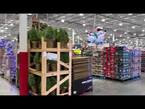 Видео: 11 ноября 2025 г.