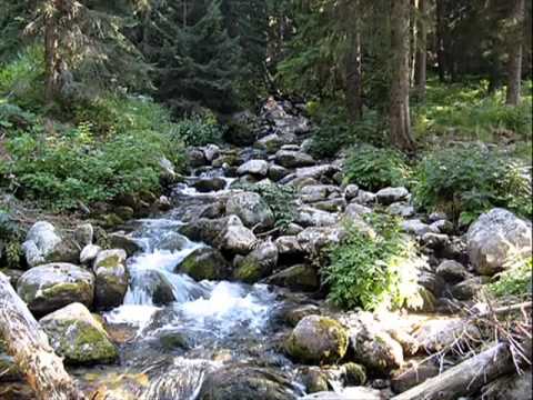 Видео: Високи сини планини