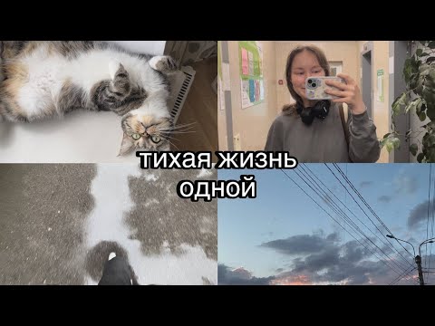 Видео: тихая жизнь одной | начало девятидневной рабочей недели