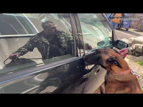 Видео: Демонстрация на полицаи на четири лапи