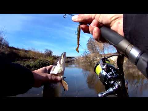Видео: Рибаловля восини 01.11.25— щука полюбляє цю приманку і в цьому колері!