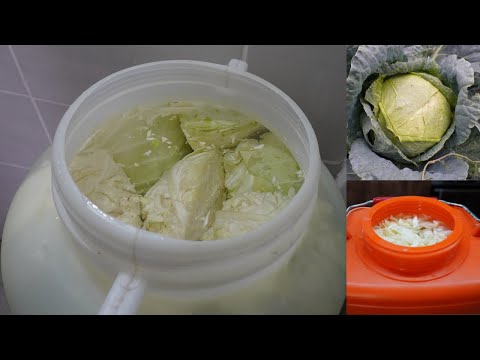 Видео: Сrauti in lattina. Домашно кисело зеле, Оригинална рецепта.