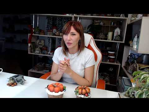 Видео: Сравнительный анализ образа