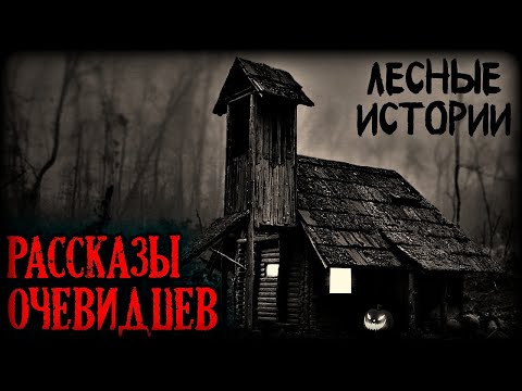 Видео: Лесные истории. Случаи рассказанные очевидцами загадочных событий (3в1)