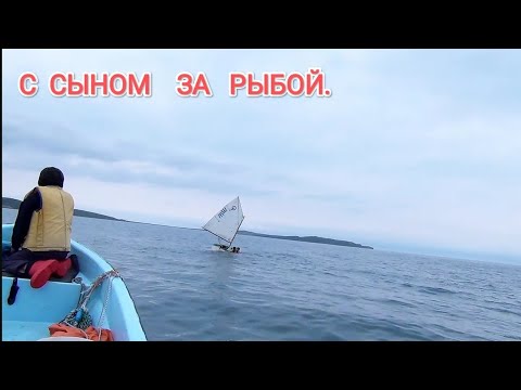 Видео: "Днищенская" Рыбалка с сыном с лодки в море.