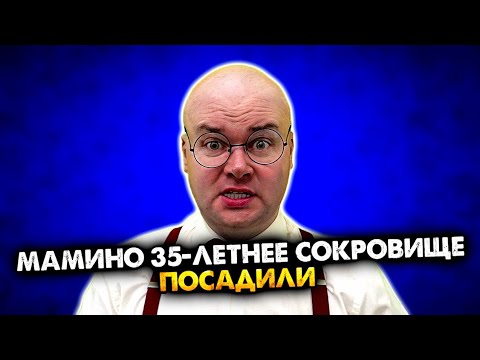 Видео: Мамино 35-летнее сокровище посадили. Сборник